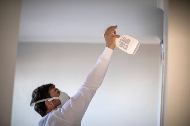 Professional Mold Remediation in Riner, VA