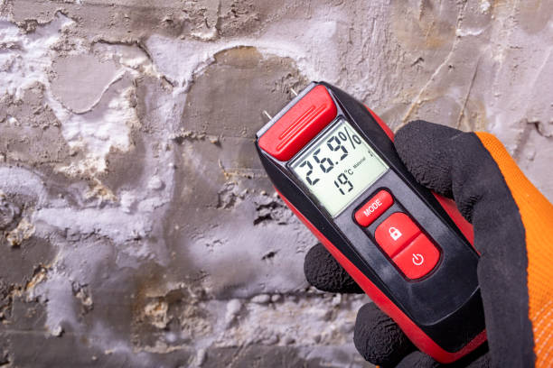 Best Crawl Space Mold Remediation in Riner, VA