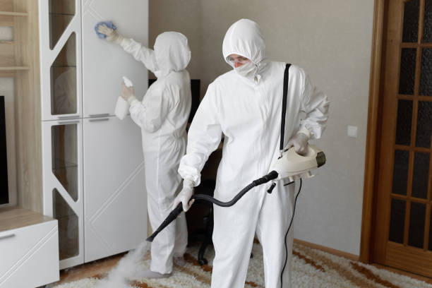 Best Health and Safety Mold Remediation in Riner, VA