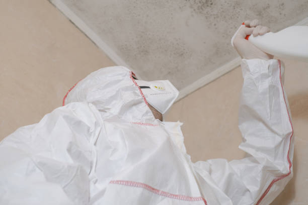 Best Preventive Mold Services in Riner, VA